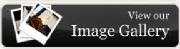Ice_Photo_Gallery/image_gallery_icon.jpg